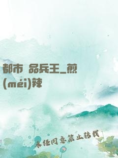 都市絕品兵王
