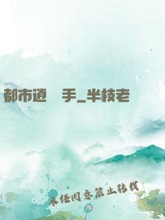 都市逍遙殺手