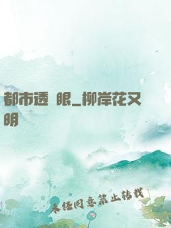都市透視眼