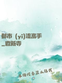 都市醫(yī)流高手