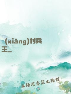 鄉(xiāng)村兵王