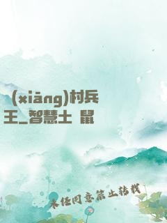 鄉(xiāng)村兵王