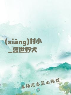 鄉(xiāng)村小無賴