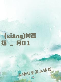 鄉(xiāng)村直播間
