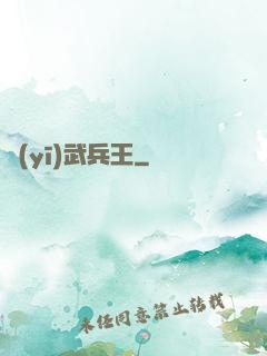 醫(yī)武兵王