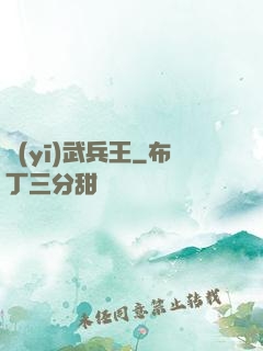 醫(yī)武兵王