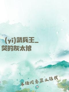 醫(yī)武兵王
