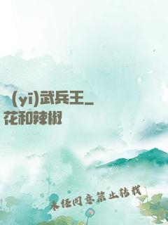 醫(yī)武兵王