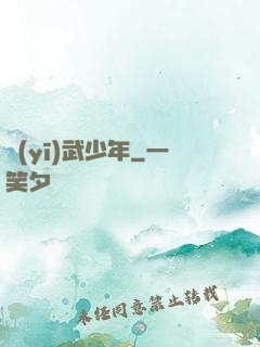 醫(yī)武少年