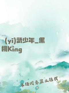 醫(yī)武少年