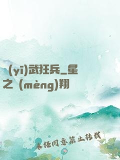 醫(yī)武狂兵