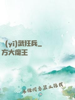 醫(yī)武狂兵