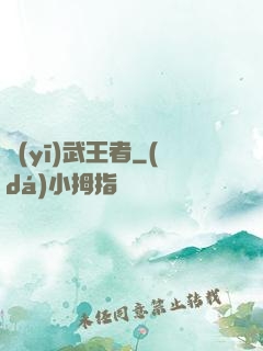 醫(yī)武王者