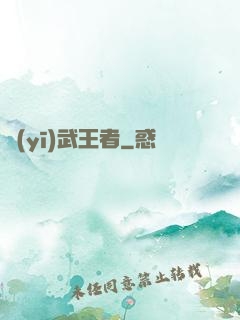 醫(yī)武王者