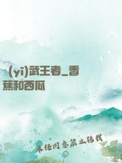醫(yī)武王者