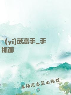 醫(yī)武高手