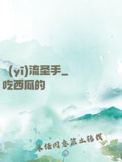 醫(yī)流圣手