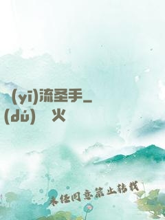 醫(yī)流圣手