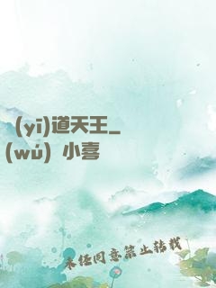 醫(yī)道天王