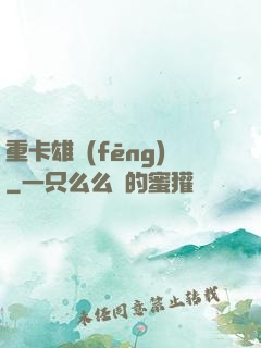重卡雄風(fēng)