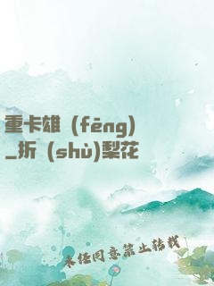 重卡雄風(fēng)