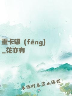 重卡雄風(fēng)