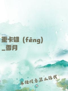重卡雄風(fēng)
