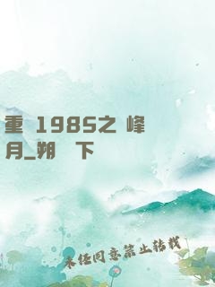 重啟1985之巔峰歲月