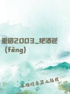 重回2003