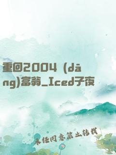 重回2004當(dāng)富翁