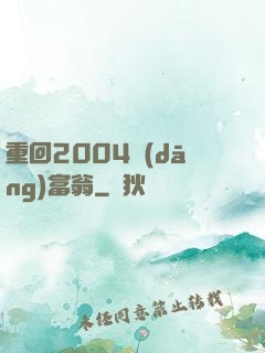 重回2004當(dāng)富翁