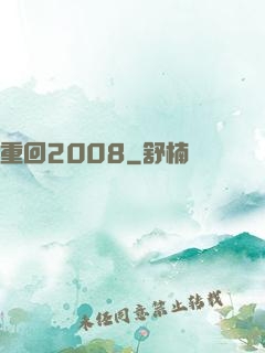重回2008