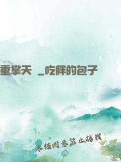 重掌天宮