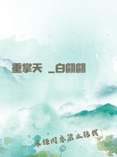 重掌天宮