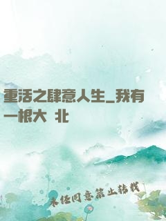 重活之肆意人生