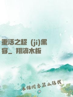 重活之超級(jí)黑客