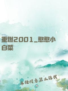 重燃2001
