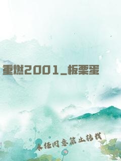重燃2001