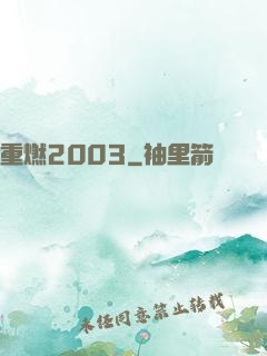 重燃2003