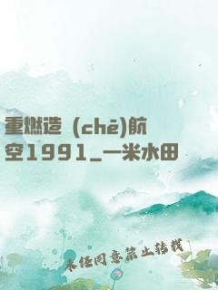 重燃造車(chē)航空1991