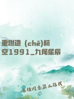 重燃造車(chē)航空1991