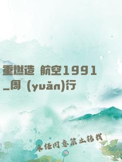 重燃造車航空1991