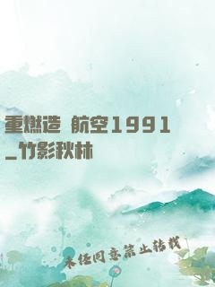 重燃造車航空1991