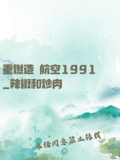 重燃造車航空1991