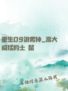 重生09做男神