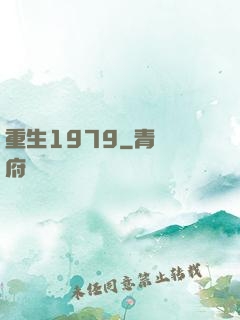 重生1979
