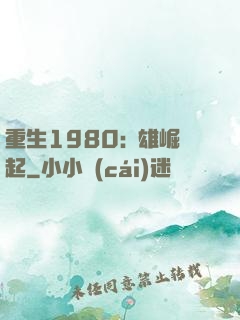 重生1980:梟雄崛起