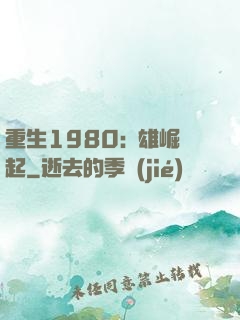 重生1980:梟雄崛起