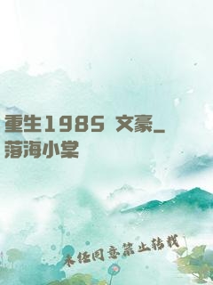 重生1985當文豪