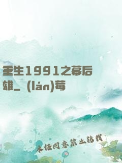 重生1991之幕后梟雄